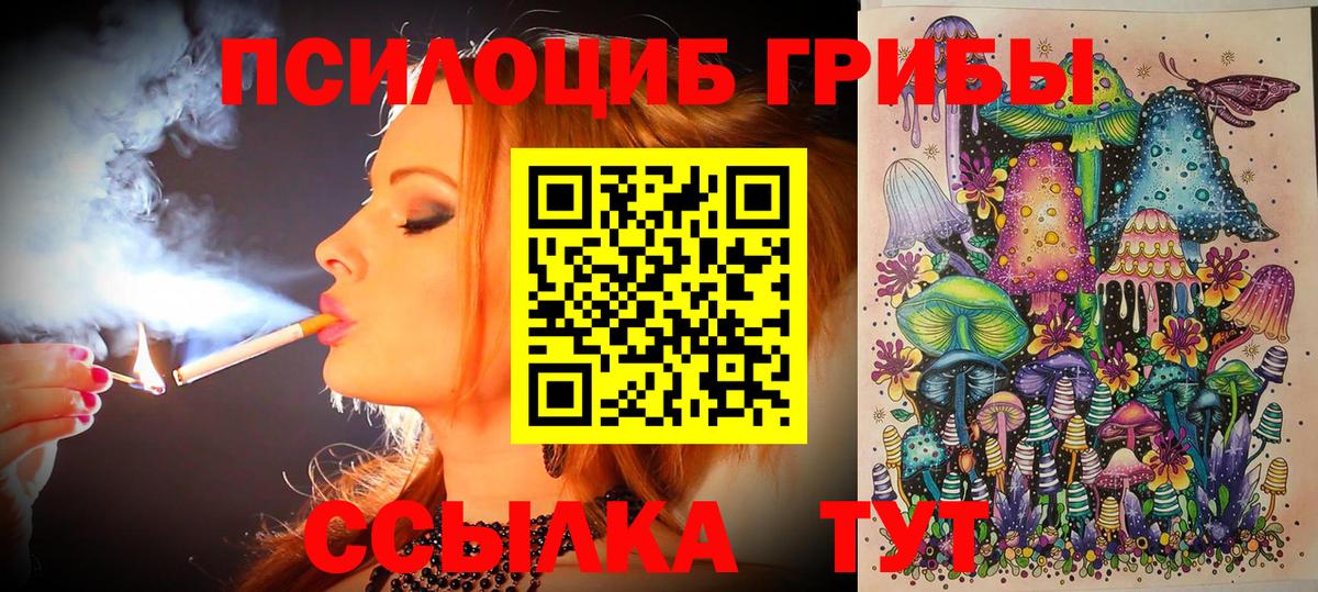 Галлюциногенные грибы Cubensis Канаш